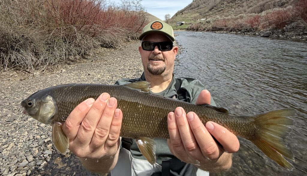 Weber River